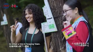 China in International Students' Eyes: Decoding Its Beauty in Li County
