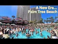 This Just Opened in Vegas and It s a Whole New Vibe Palm Tree Beach Club Las Vegas
