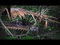 Download Lagu เข้าป่าหาใบกะพ้แต่ออกจากป่าไม่ทันต้องแวะนอนบนห้างกลางคืนมีเสียงร้องน่ากลัว