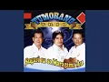 Download Lagu Maila Pogos