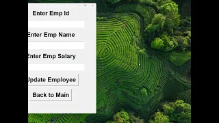 Employee Management System Python GUI