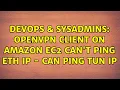DevOps SysAdmins OpenVPN client on Amazon EC2 can t ping eth IP - Can ping Tun IP