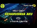 Download Lagu Funkot - SEHARUSNYA AKU [DJ RASDON FUNKYTONE] #Funkytonestyle