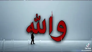 يا عيال طرب ولا مو طرب  على عينك يا تاجر  دندنها