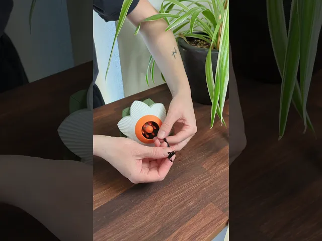 Flower01 - Self-Watering Insert video thumbnail