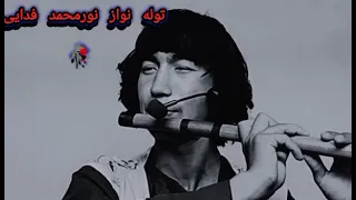 جوانی ام بهاری بود بگذشت توله بسیار زیبا نور محمد فدایی 