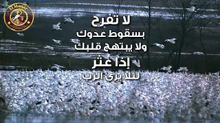 شهر ٠٢ يوم ١٦ لا تفرح بسقوط عدوك دندنها