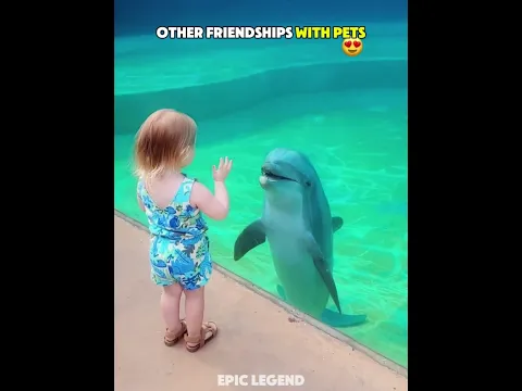 Normal Friendship VS King of Animal Love ❤️