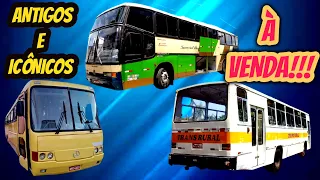 ÔNIBUS Á VENDA, DÁ PARA TRABALHAR COM ALGUM DESSES??