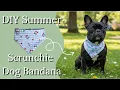 DIY Summer Scrunchie Dog Bandana Easy Beginner Sewing Tutorial