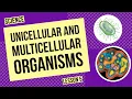 Unicellular and Multicellular Organisms