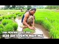 Lagu Cara mencabut bibit padi yang benar 