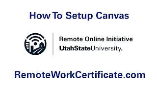 How to Set up Canvas and Navigate the Professional Program
