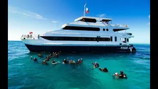 Download Aqua Cat - Bahamas Liveaboard MP3