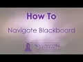How to Navigate Blackboard