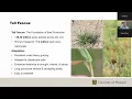 Fescue Management