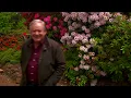 How to GROW Rhododendron's | GARDEN | Great Home Ideas
