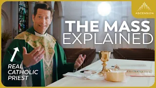 Catholic Mass 101 Learn Every Part of the Mass and What It Means w Fr Mike Schmitz