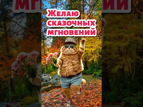 Самого доброго утра! ☀️ Пусть этот день подарит счастье, тепло и вдохновение!#shortsfeed #shorts
