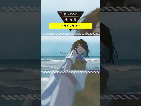 ドライフラワー Acoustic Arrange cover / そらる short ver.