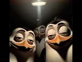 WTF Memes Compilation 1