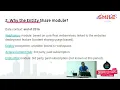 Deploy your content with Entity Share - Grimreaper