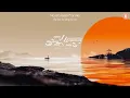 [Lyrics + Vietsub] No Gravity - Zedd (feat. Bava)