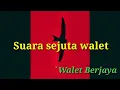 Suara sejuta walet|Sp cek lokasi