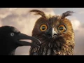 Download Lagu Lustige Vögel auf der Stromleitung - Teil 1