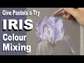 Download Lagu Pastel are fun to use... give them a try ~ Iris flower painting Part 1. Narrated Tutorial.