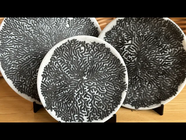Moldy Plates video thumbnail