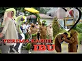 Download Lagu TERIMA KASIH IBU 🙏