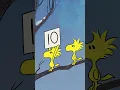 Snoopy s Perfect 10 Snoopy