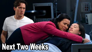 Days of Our Lives Spoilers Next 2 Weeks May 4 to 15 2026 DOOL Next 2 Weeks May 4 to 15