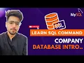 Become a SQL Pro Get Started with Company Database Intro
