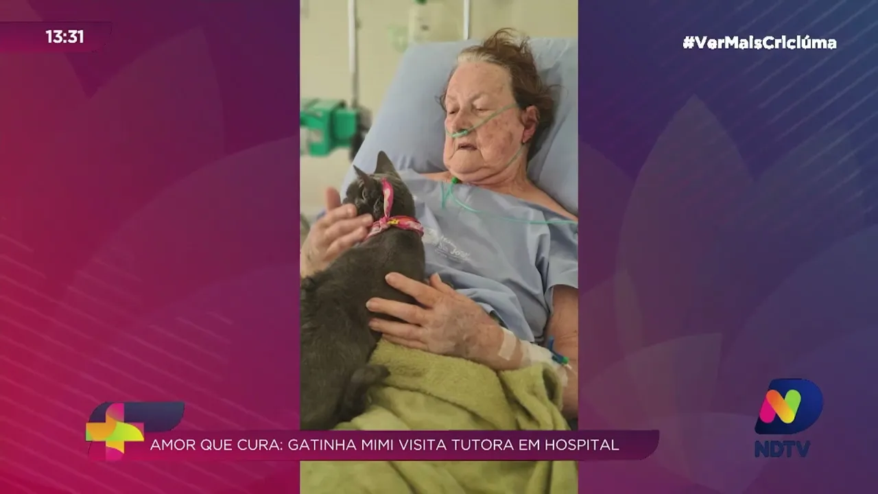 Paciente internada no Hospital São José recebe visita especial da sua gatinha Mimi