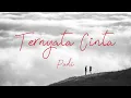 Download Lagu Padi - Ternyata Cinta (Lyric)