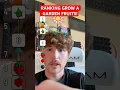 Download Lagu RANKING GROW A GARDEN FRUITS!