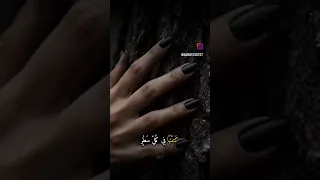 كتبتها في كل سطر  حالات واتس          اكسبلور        دندنها