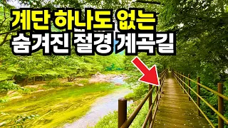 😲 계단 없는 그늘 100% 계곡 둘레길, 걷기 편해요! 물소리에 절경까지 여기 미쳤다!! | 한국에 이런곳이 | 당일치기 트레킹 여행 코스 추천 | 괴산 화양구곡 썸네일