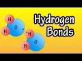 Hydrogen Bonds - What Are Hydrogen Bonds