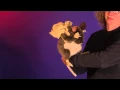 Folkmanis Pack Rat Puppet Demo