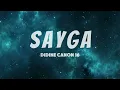 Didine Canon 16 - SAYGA (lyrics-كلمات)