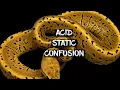 Comparison of the Acid Static and Confusion Ball Python Genes