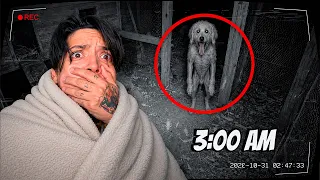 MI PERRO esta POSEIDO y ME QUIERE ATACAR