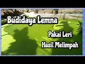 Download Lagu Hasil Budidaya Lemna Dengan Leri Beras PART 2