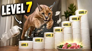 WILL PUMBA PASS ALL 7 LEVELS TO GET HIS FOOD?