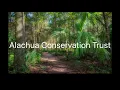 A Visit to Serenola Forest Preserve