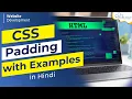 Padding in CSS Explained in Hindi Website Development Full Course in Hindi