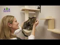 Gardens Animal Hospital Palm Beach County Veterinarian